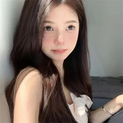 打扰伯格曼