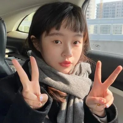 斑马头