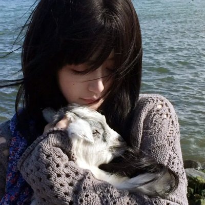新东京猫猫